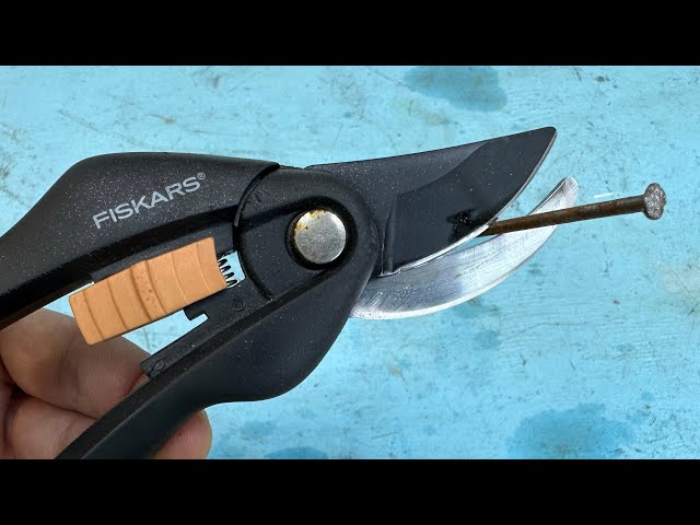 Secateurs like a razor in two minutes! It even cuts nails!