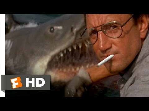 Jaws (1975) - You're Gonna Need a Bigger Boat Scene (4/10) | Movieclips