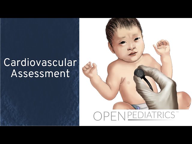 Cardiovascular Assessment by B. (Johnson) Leary | OPENPediatrics