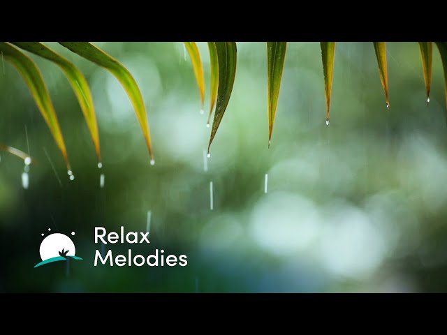 Peaceful Piano & Rain Sounds | Relaxing Piano, Sleep Music, Background Music | BetterSleep