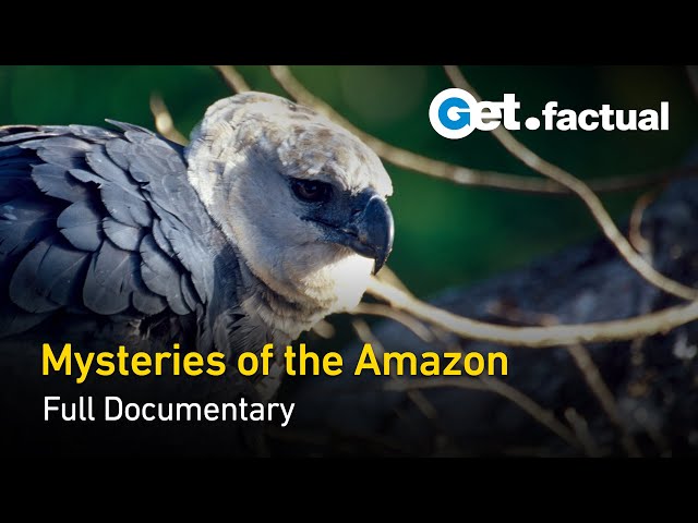 Animal River Challenge: Guyana's Hidden Creatures | Full Nature Documentary