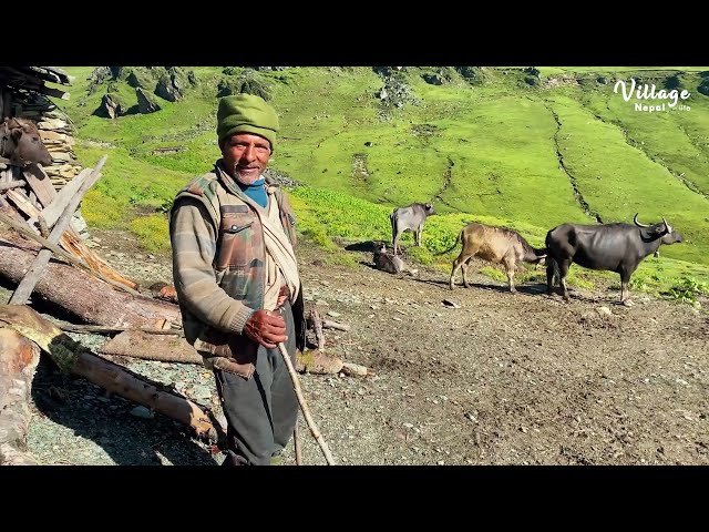 Simply the BEST Nepali Mountain Village Life | Village Nepal Life | Rural Nepal