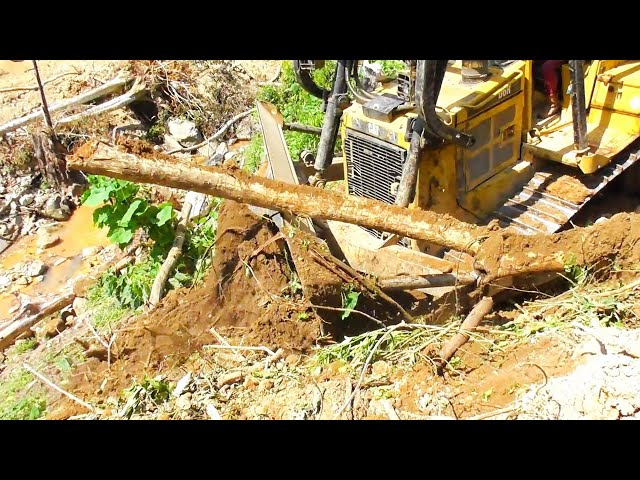 When The Bulldozer Works is Blocked With a Lot of Broken Wood || Bulldozers D6R