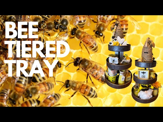 🐝 BEE Tiered Tray #3 DIY Video (Dollar Tree & Dollar General) Hacks