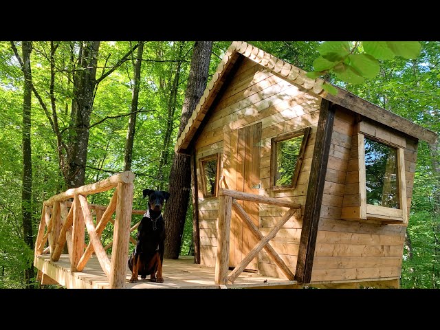 The Untold Story of a Man Building a Wooden House Alone