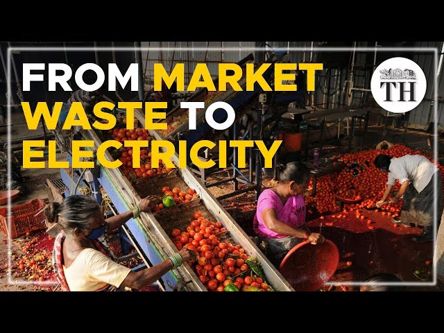 From market waste to electricity