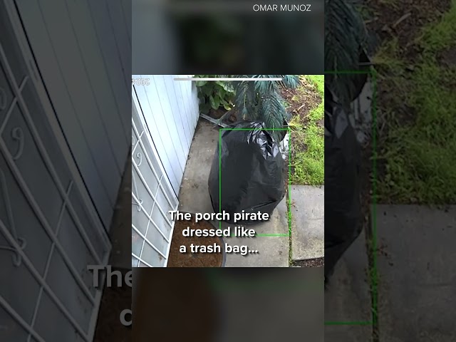 Porch pirate dresses as trash bag