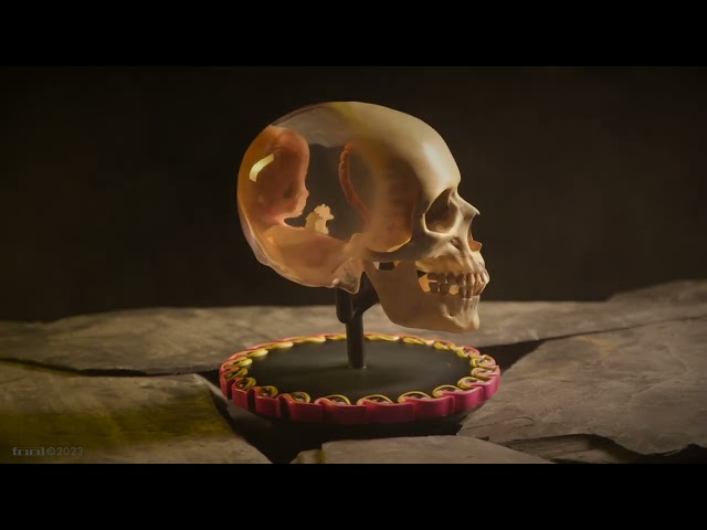 TOOL - Fetus in Skull Life-Size Sculpture