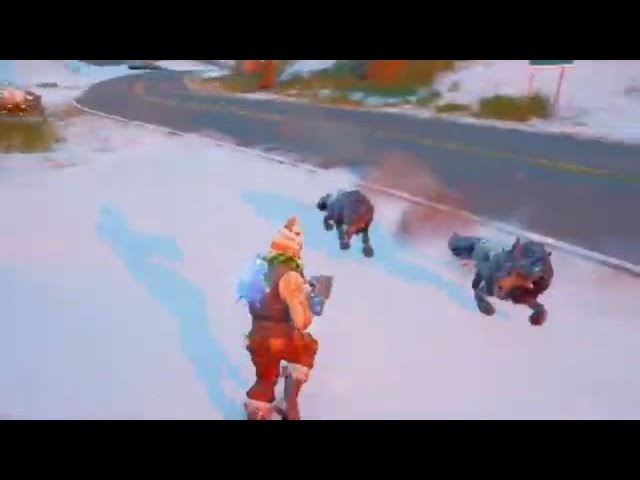 Fortnite Win - Wolves Never Give Up