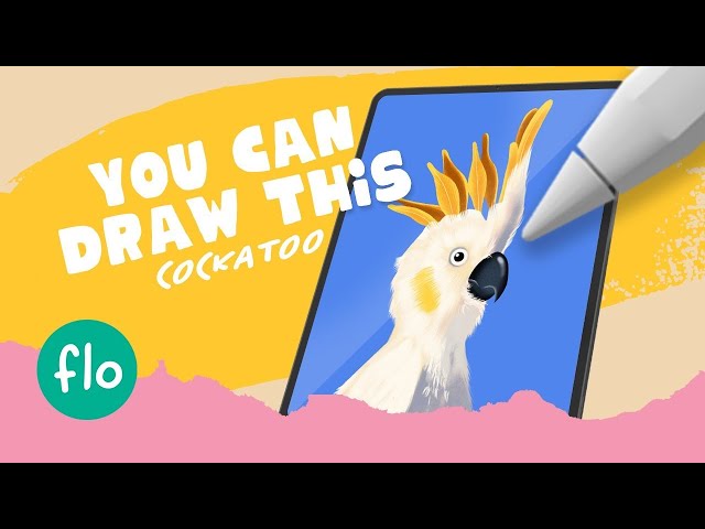 You Can Draw This PARROT in PROCREATE - Easy Beginner Tutorial