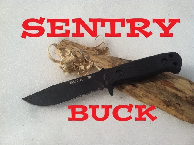 Buck Sentry Survival Knife Review: USA Made SOG Seal Pup?
