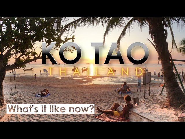 Ko Tao, Thailand 🇹🇭 - What's it Like Now? Watch Before You Go | Thailand Travel