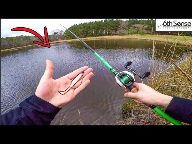 Spring Bass Fishing In North Carolina ( Tips and Techniques )
