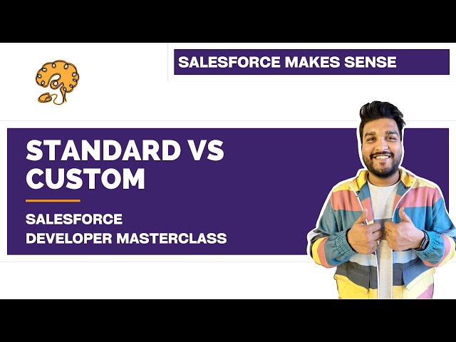 Standard vs Custom - Nomenclature | Salesforce Architecture | Salesforce Developer Masterclass