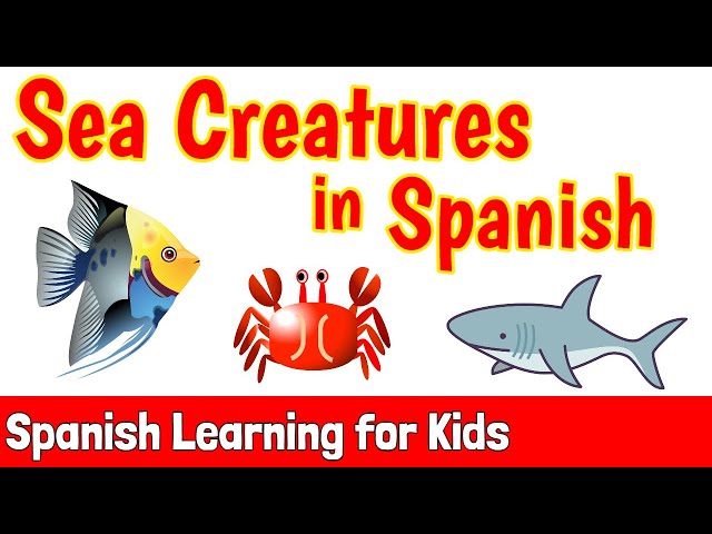 Sea Creatures in Spanish