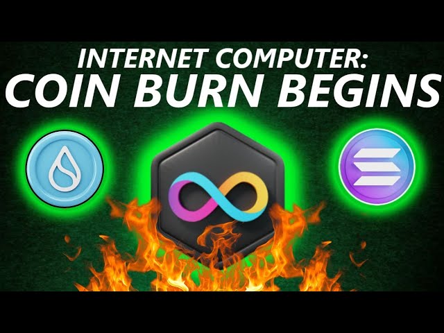 $ICP Begins COIN BURN | SOLANA "LEADS THE BATTLE" | SUI GAMING System