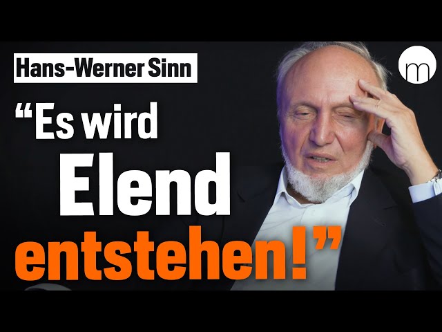 Hans-Werner Sinn: Wir machen Wirtschaft und Wohlstand kaputt. Dieser Weg ist verwegen und absurd