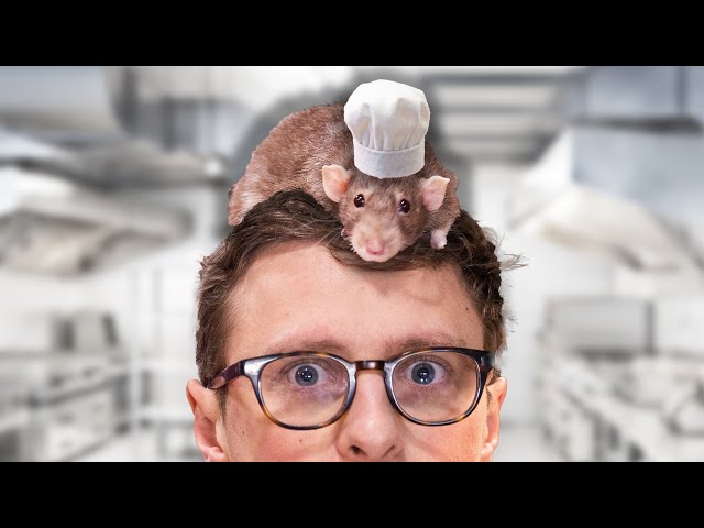 I Trained A Rat To Make Ratatouille