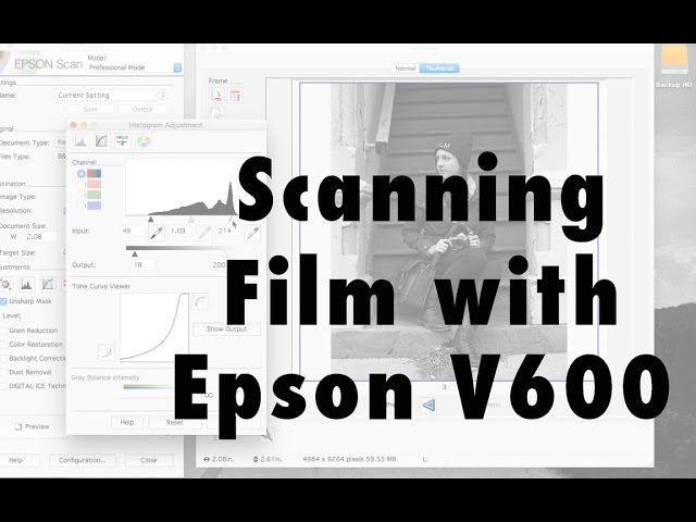 Scanning Film w/ Epson V600