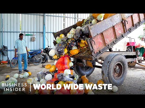How Food Waste Is Turned Into Plastic, Hair Extensions, And More | World Wide Waste