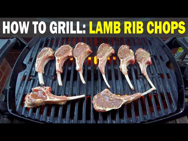 MEAT LOLLIPOPS! How To Grill LAMB RIB CHOPS on a Weber Q Grill
