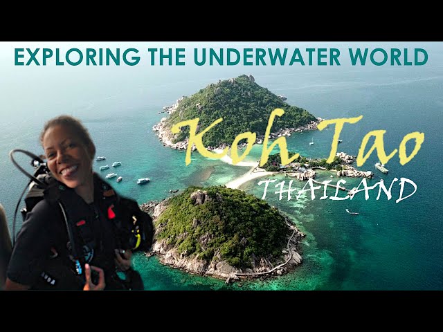 Diving and Exploring the UNDERWATER WORLD of Koh Tao | Thailand Travel | APRIL 2022