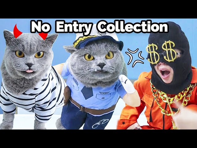 Join Oscar's Enjoyable "No Entry" Collection!😹 | Oscar‘s Funny World | New Funny Videos 2023