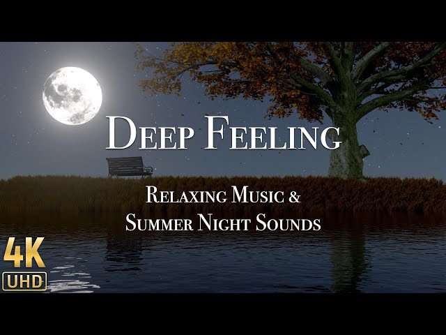 Deep Feeling - Relaxing Music & Summer Night Sounds for Sleep, Relaxing, Meditation, Stress Relief