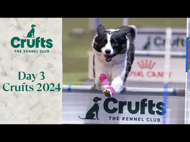 Day 3 of Crufts 2024