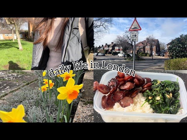 Vlog , moving home , making lunch box , visiting to English old village , part time job ,