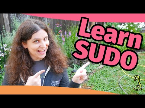 Lil' Linux Lesson - Sudo for beginners!