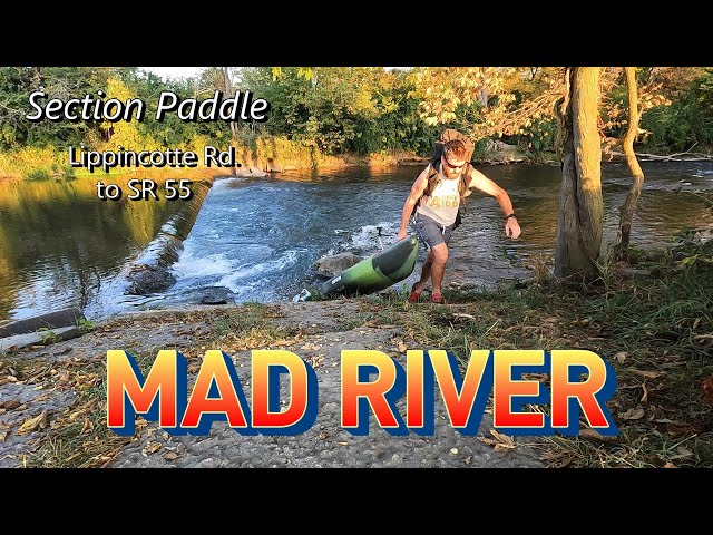 Solo Kayaking Adventure with DELICIOUS Campfire Cooking!  Suprise Dinner Guest!