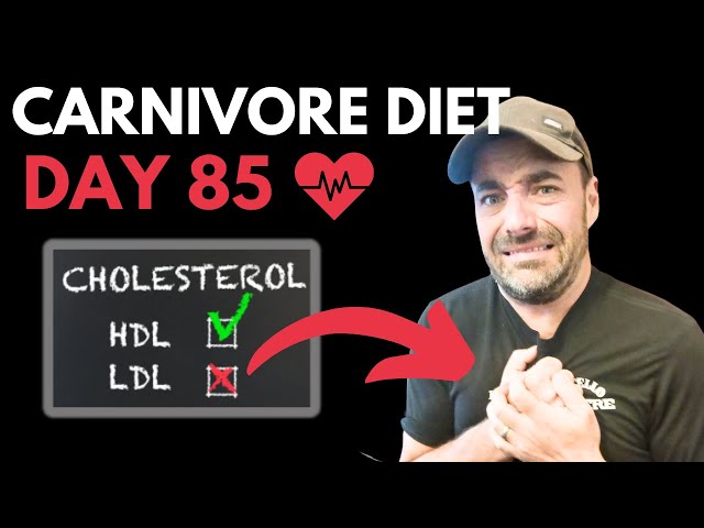 DAY 85- Is the Carnivore Diet KILLING ME?