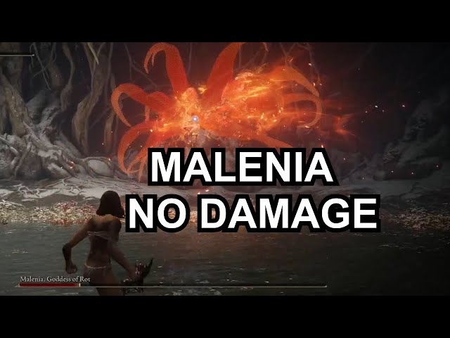 Malenia no Damage, Great Rune or Summons With Reduvia