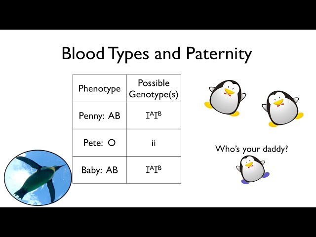 Blood Types and Paternity