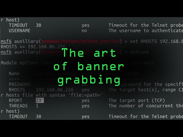How Hackers Can Steal Information from Computers Using Banner Grabbing