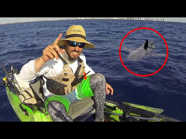 6 Shark Encounters Way Too Scary To Handle