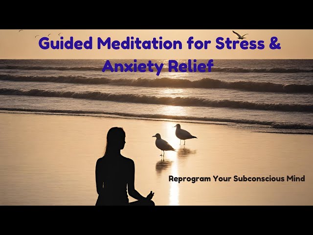 Stress Relief Meditation: Inner Calm in 21 Days