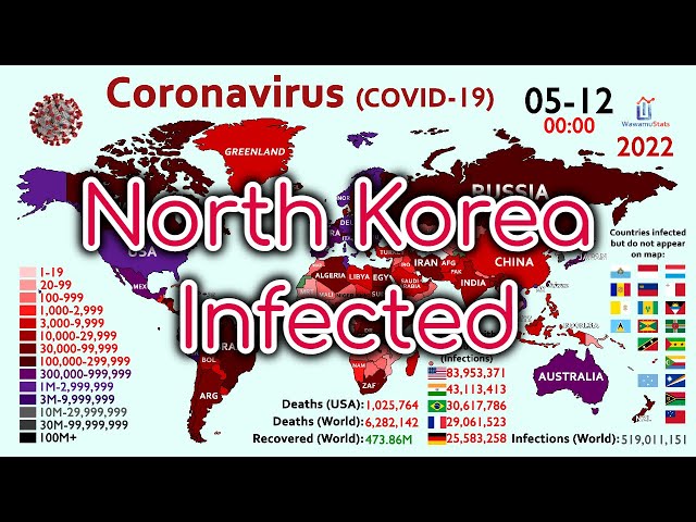 First Coronavirus Infection in North Korea (500M Cases Timelapse)