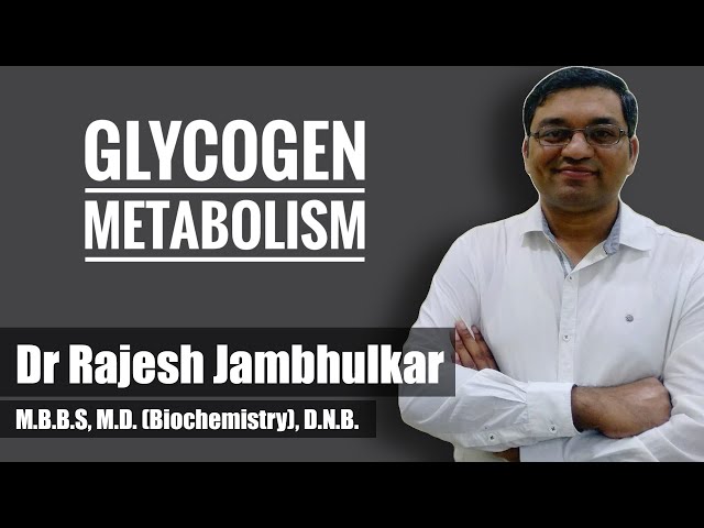 10. Glycogen metabolism- Glycogenesis and Glycogenolysis