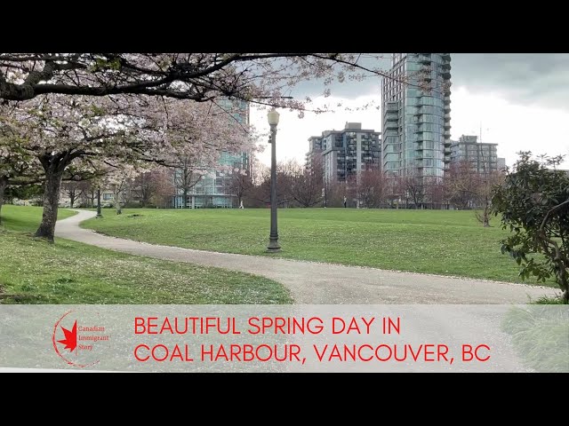 72 Beautiful Spring Day in Coal Harbour,  Vancouver, BC #canadianimmigrantstory