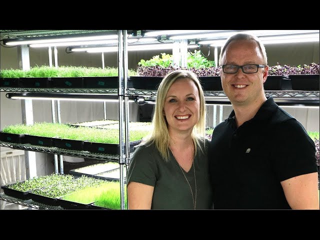 $10,000 a Month Growing Microgreens in a Basement!