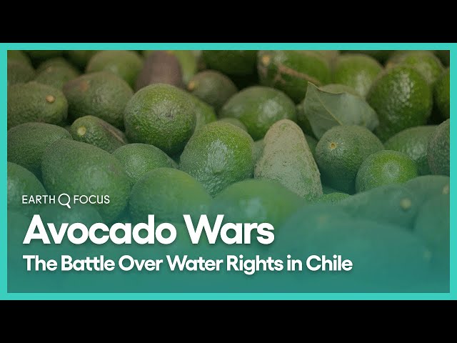 Avocado Wars: The Battle Over Water Rights in Chile | Earth Focus | Season 2, Episode 2 | KCET