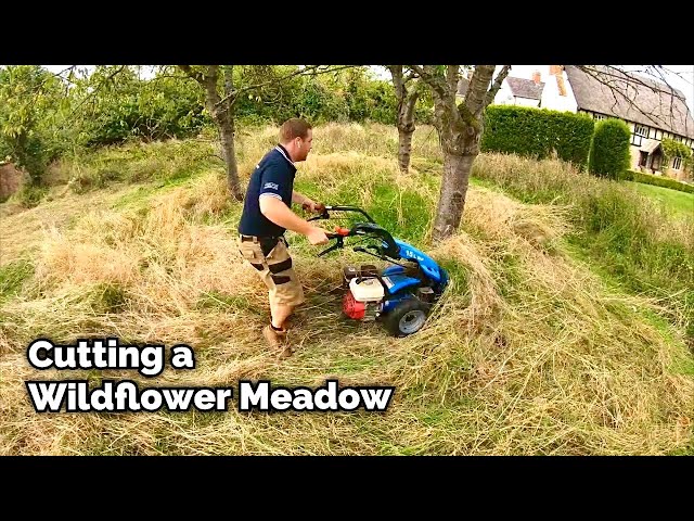 Cutting and Clearing a Wildflower Meadow by Hand - Timelapse