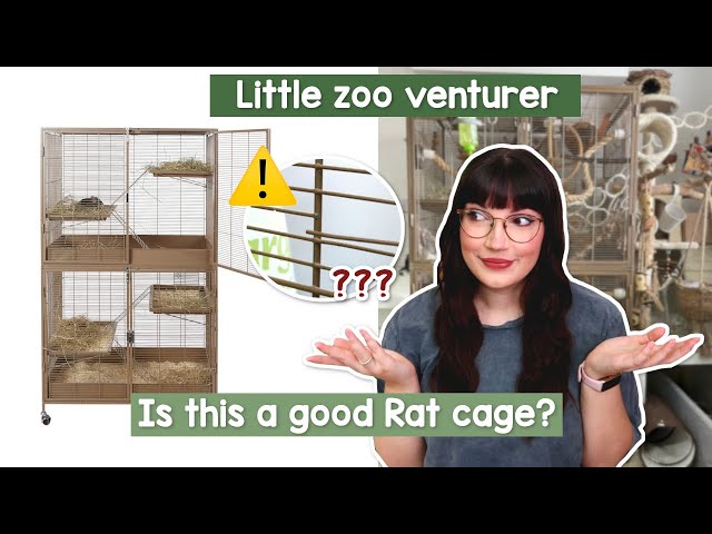 Is this a good Rat cage? Little zoo venturer review