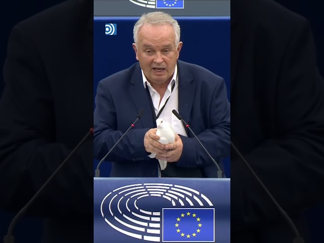 Un eurodiputado suelta una paloma en pleno hemiciclo para pedir la paz en Europa