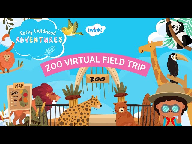 Zoo Virtual Field Trip | Twinkl Early Childhood Adventures | Twinkl USA