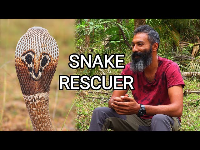 Shuayb, snake rescuer from Bangalore saves snakes in India