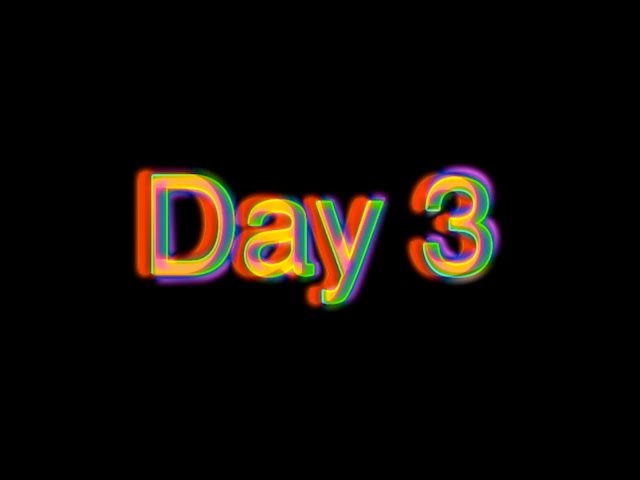 day 3