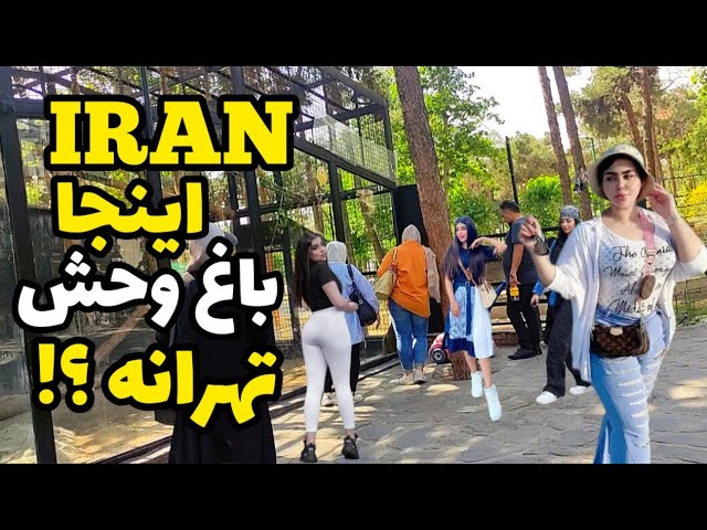 What is going on in the strangest zoo in Tehran, Iran? ایران 2023